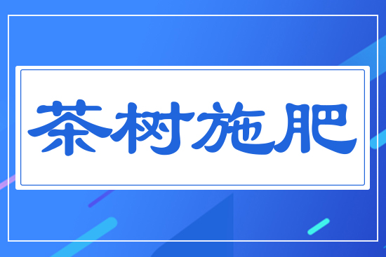 ���ʩ��