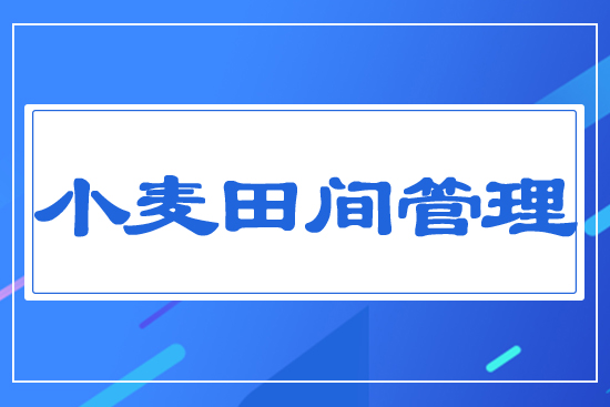 小麥田間管理