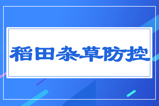 �����s�ݷ���