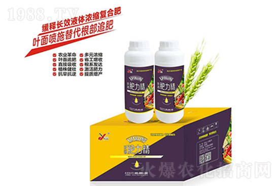 復合肥11