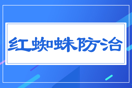 �t֩��