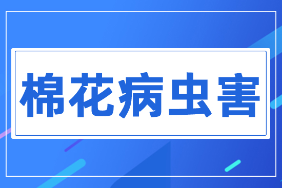 �޻��ش��x��