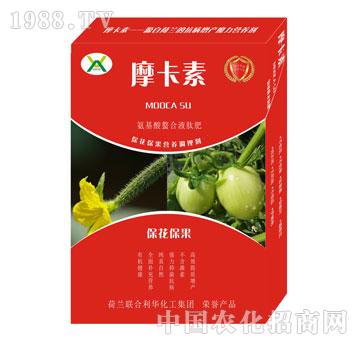 ?；ū９被狎弦弘姆?摩卡素-強芯國際