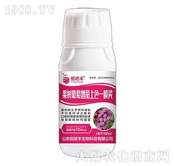 果樹(shù)葡萄一噴靈-悅地豐