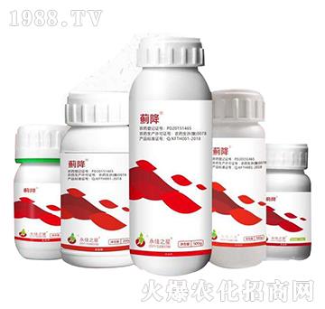 薊降-永佳之星