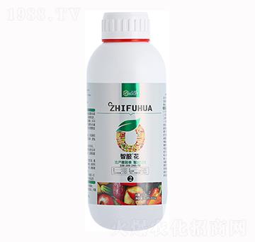 1L�Ƿ���100-20