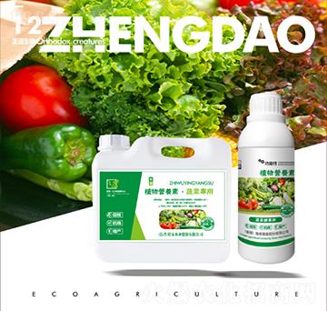 �߲ˌ���ֲ��I(y��ng)�B(y��ng)��-��������