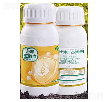 43%�����ء���ϩ������Һ��-���S��Ү�-����S