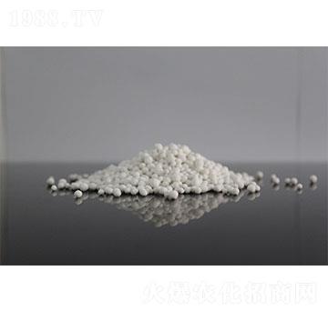 21���w���\-����