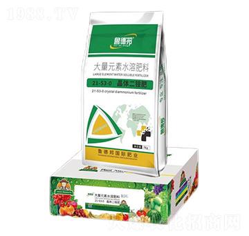 大量元素水溶肥料21-53-0-晶體二銨-魯?shù)掳? />
                                </div>
                            </div>
                            
                            <style type=